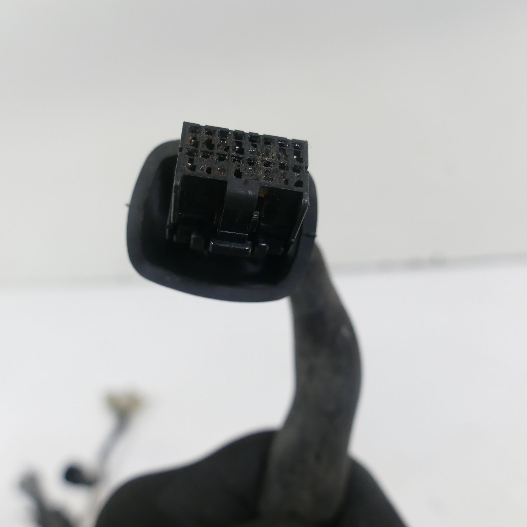 B12